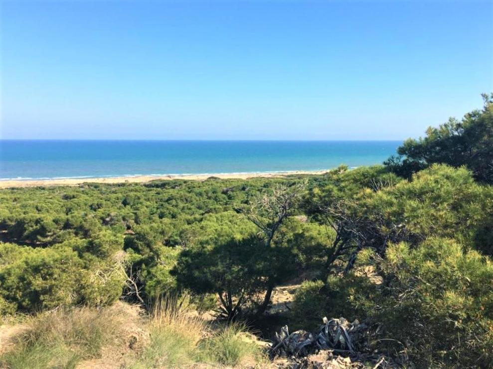 Casa Jirafa Con La Vista Βίλα Gran Alacant Εξωτερικό φωτογραφία
